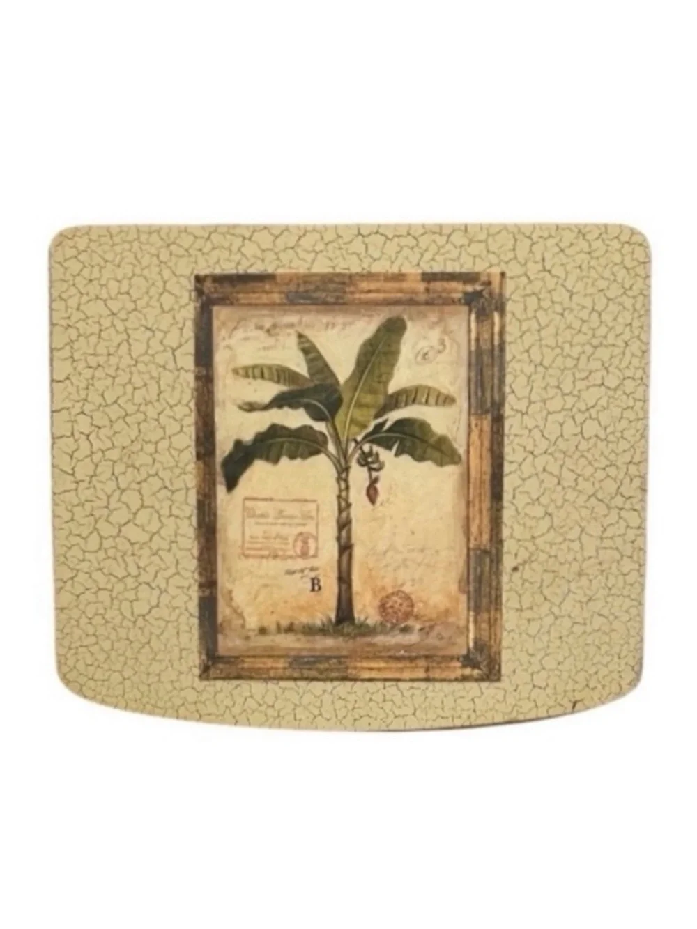 Art in Motion Chad Barrett 36 Palm Tree Note Cards in Decorative Wood Box